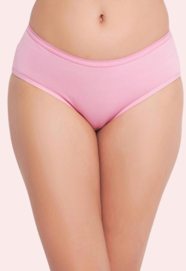 48 Pack of Womens Panties in Wholesale