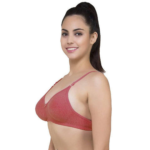 Lightly Padded classic comfort bra pack of 2