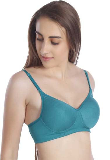 Women Full Coverage Lightly Padded Multicolor Bra